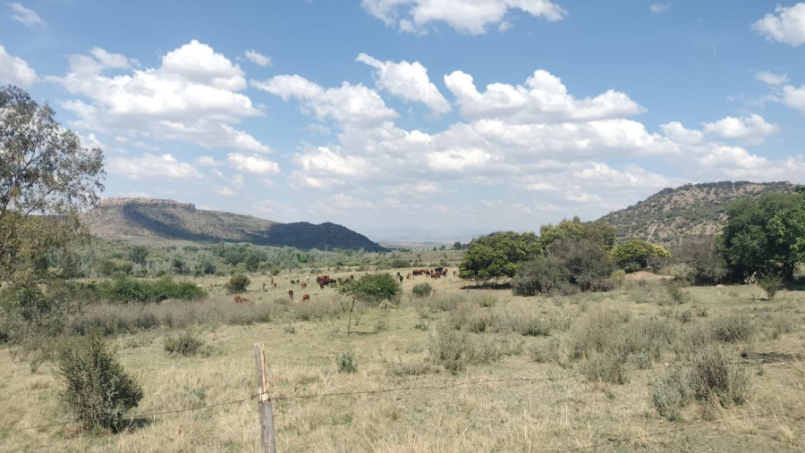 2 Bedroom Property for Sale in Ladybrand Free State